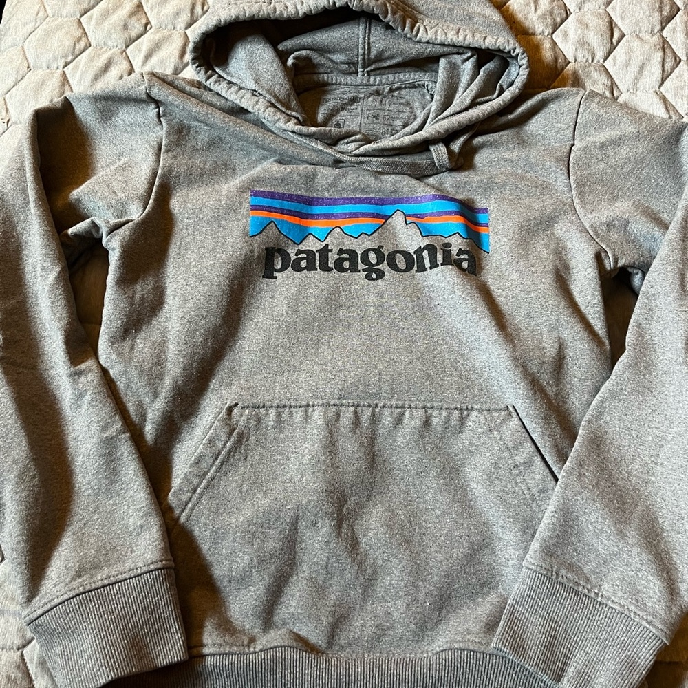 Women’s grey x-small Patagonia Hoodie
